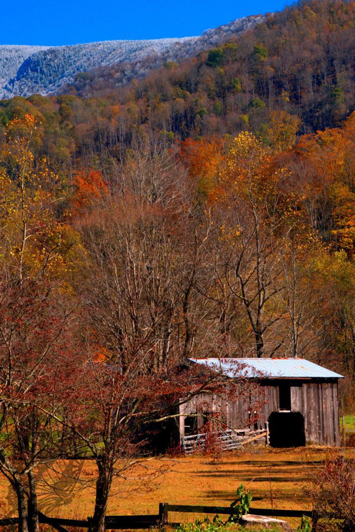 Barn